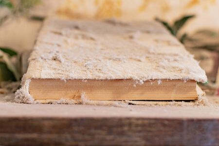 An old book under a thick layer of dust on the Cabinetの写真素材