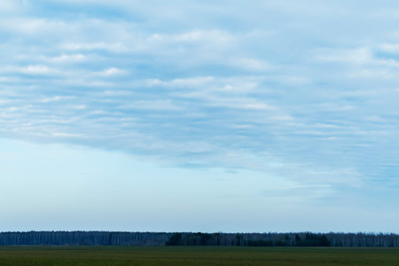 White clouds in a blue sky. Evening in the country