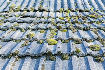 Green moss on an old tile roof in an old barnの写真素材