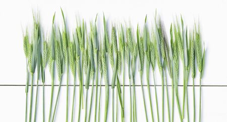 Close-up image of wheat ears on a background of white wooden boardsの写真素材