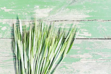 Close-up image of wheat ears on a background of green wooden planksの写真素材