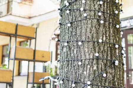 A tree festooned with light bulbs in the center of the cityの写真素材