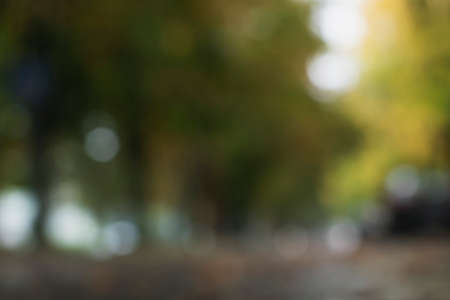 Blurred image. Autumn landscape of the city. The warm sun shines on the street and the Parkの写真素材