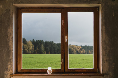 Old window from a tree in the room with the repair. View of a green meadow near the forest