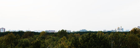 Tinted image of a view of a large Park in the city. City buildings and a Church on the horizon