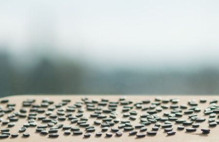 Watermelon seeds dry on a wooden Board on the window sill