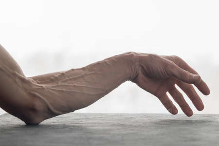 Strongly pronounced healthy veins on the arm of an adultの写真素材