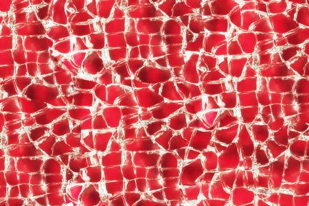 Magnified image of a cracked glass on a red backgroundの写真素材