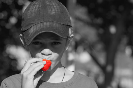 A little boy eats ripe strawberries in a garden outside the cityの写真素材