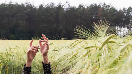 The hands of a young girl with a colored manicure in a field with wheat