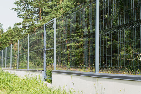 A metal fence with a gate and a lock near the forest