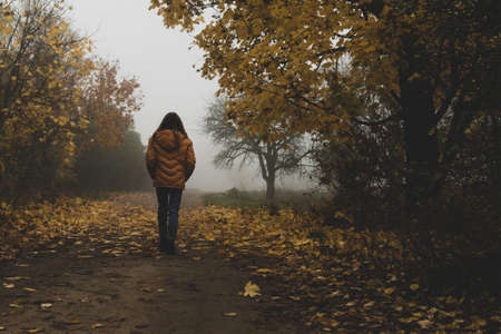 A young girl in a yellow jacket walks in an autumn park with fallen leavesの写真素材