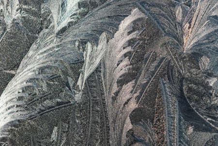 The glass of a plastic window with frozen frost in a diverse patternの写真素材