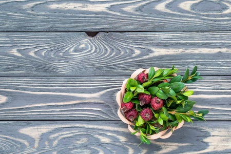 Still life from leaves of an ornamental plant and rosehip fruit on a woody backgroundの写真素材