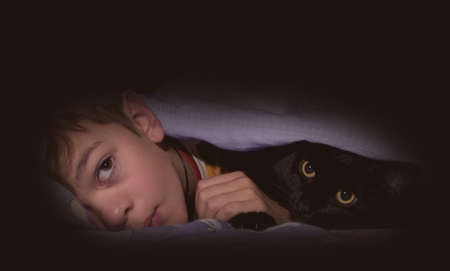 A little boy sleeps with his cat under a blanket in bedの写真素材