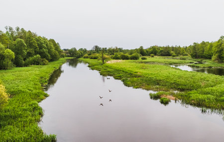Landscape with a river and a green meadow outside the cityの写真素材