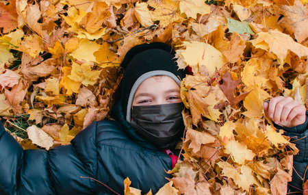 Children play in the autumn park in yellow leavesの写真素材