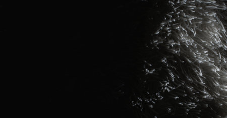 Bright light falls on a terry towelの写真素材