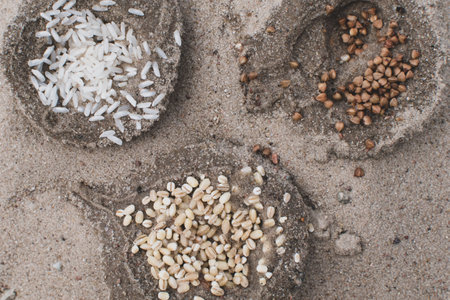 Grains of various cereals in the sand during a droughtの写真素材