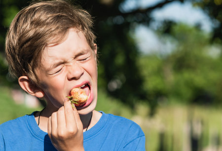 Little boy eats unripe strawberries in springの写真素材