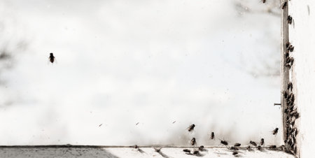 A large number of flies on an old window in a private house