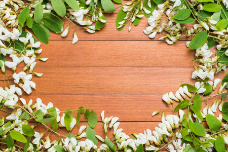 Acacia blossoms on a wooden textured backgroundの写真素材