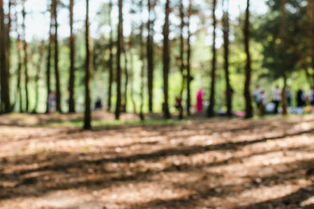 A blurry image of a lot of people relaxing in a pine forestの写真素材