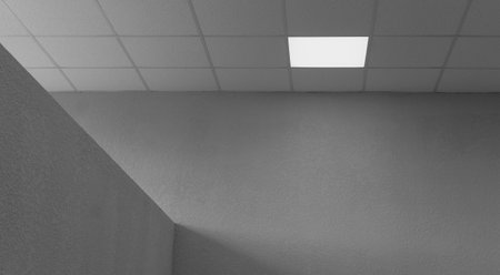 Rectangular lamp for lighting a new office on the ceiling
