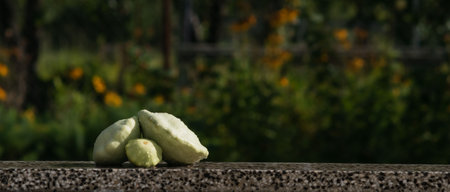 Still life of ripe vegetables against the background of nature in autumnの写真素材