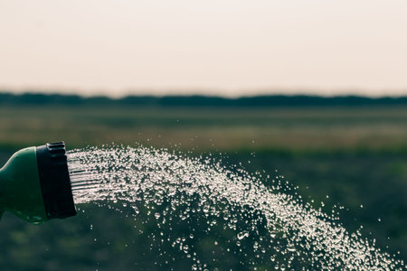 Splashes of water pouring from a backyard watering tapの写真素材