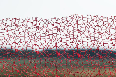 Textural image of a fragment of lace fabric against the background of nature