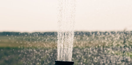 Splashes of water pouring from a backyard watering tap