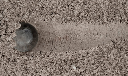 A small glass ball lies in loose sandの写真素材