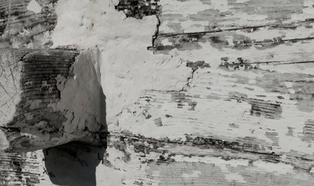 A fragment of the wall of an old wooden house with an old weathered whitewashの写真素材