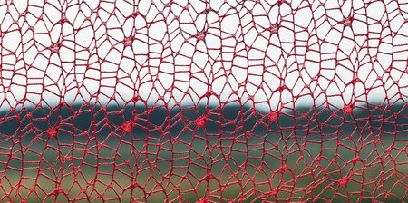 Textural image of a fragment of lace fabric against the background of natureの写真素材