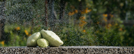 Still life of ripe vegetables against the background of nature in autumnの写真素材