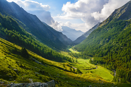 Alpine landscape. Gran Paradiso National Park. Italyの写真素材