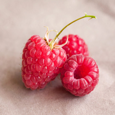fresh raspberries isolated, still life