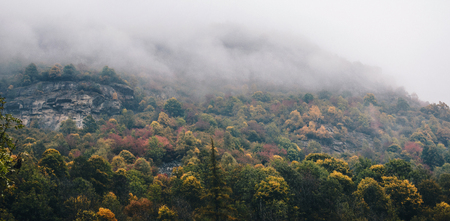mountain forest in the clouds, Italian Alpsの写真素材