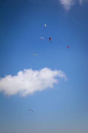 group of paragliders thermalling, italian Alpsの写真素材
