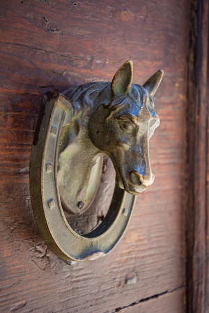 close up of an old horse-shaped knocker on a traditional wooden doorの写真素材