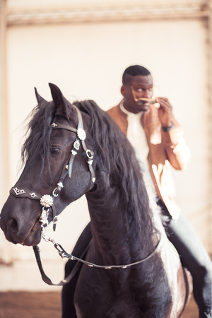 man riding brown horse on countrysideの写真素材