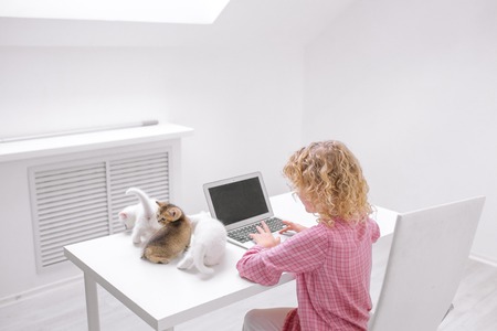 ginger girl looking at the laptop computer displayの写真素材