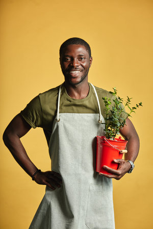 Happy mid-aged gardener in apron holding potted green plant smiling at camera isolated on yellow
