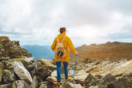 motivated hiker at the top of a rock with backpack enjoy autumn day, back view photo.travel, hobby,...