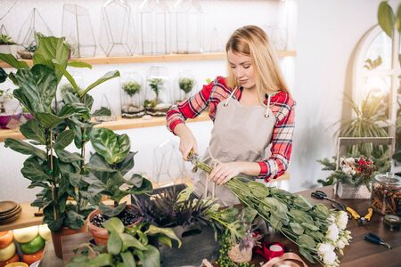 Small business owner and beautiful florist woman preparing a white flower bouquet, enjoy working with plants and flowers. Botany, plants conceptの写真素材