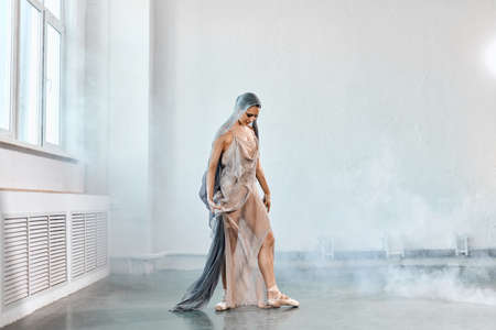 Full size portrait of talanted ballet student woman wears grey fluttering scenic dress giving a performance on a final exam in light studio on white smoky background.の写真素材