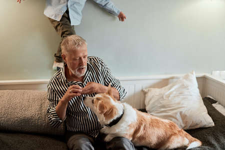 Grandfather and grandson with dog sitting at couch in living roomの写真素材