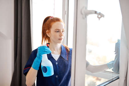 Portrait of hardworking young maid with red hair ponytail cleaning glass with sponge and spray in hotel room.の写真素材