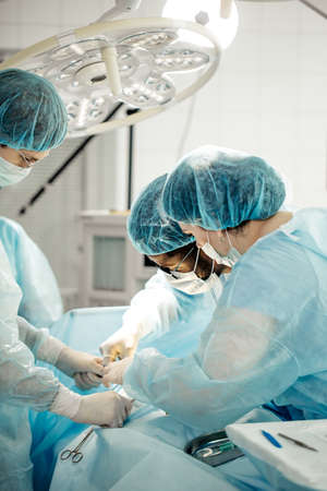 people diagnosing and treating musculoskeletal system conditions. side view photo.の写真素材